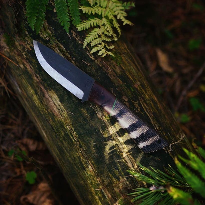 252267044_286980273359900_7811318786399195410_n